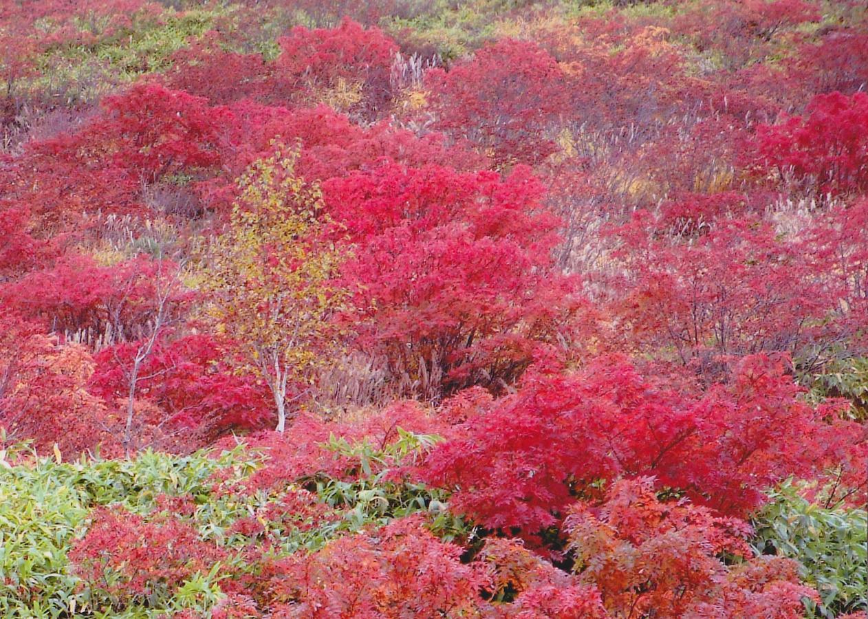Shiga Kogen Hotel Shiga Sunvalley Яманути Экстерьер фото